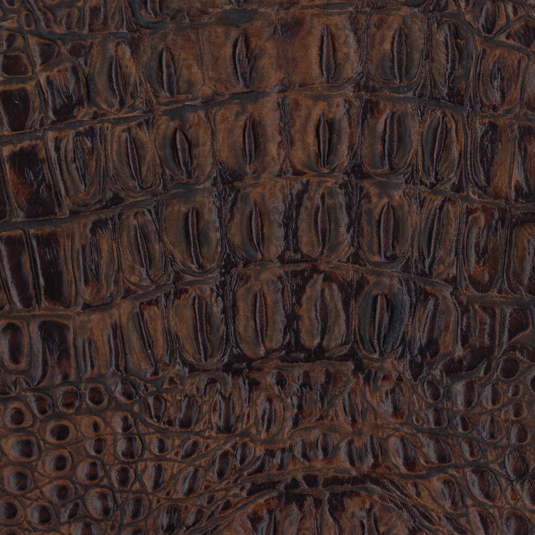 Designer LG-Amazon Wagon Wheel